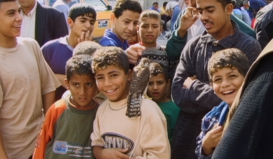 Doha Film Institute Amplifies Palestinian Voices at Doha Film Festival